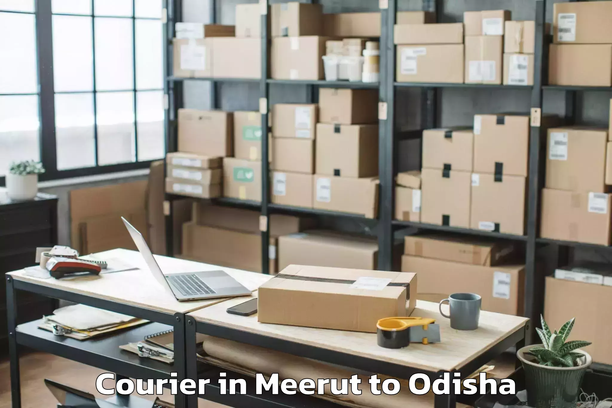 Quality Meerut to Brahmapur M Corp Courier